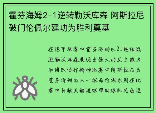 霍芬海姆2-1逆转勒沃库森 阿斯拉尼破门伦佩尔建功为胜利奠基